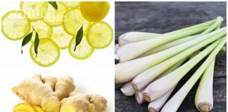 Mùa hè, cứ uống 3 món súp dễ làm này là giảm ngay 3kg nhẹ nhàng mà không cần tập luyện vất vả