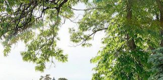 Đây chính là 4 “kẻ thù” của các nàng chân to, cứ mặc vào là chắc chắn mất điểm