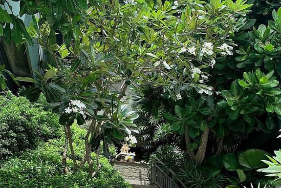 Mùa du lịch thì nên mặc gì đi chơi, những gợi ý phối đồ cực trendy cho chị em mình! Mùa du lịch thì nên mặc gì đi chơi, những gợi ý phối đồ cực trendy cho chị em mình!