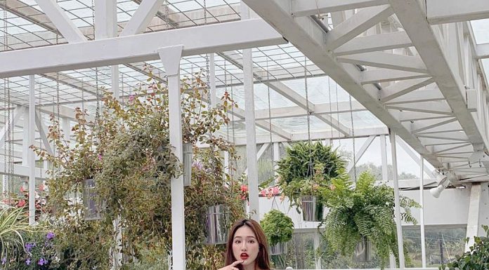 Nếu ngoài 30, chị em đã qua cái thời diện 3 kiểu áo phông “quá lứa lỡ thì” so với tuổi này rồi