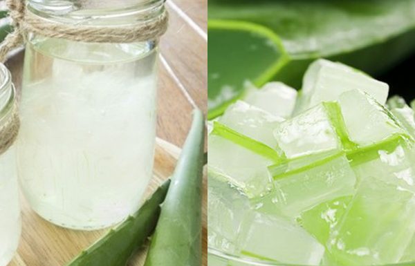 Chỉ cần 1 cốc nước nha đam thơm ngon hàng ngày mà da bạn sẽ đẹp mịn màng lên trông thấy Chỉ cần 1 cốc nước nha đam thơm ngon hàng ngày mà da bạn sẽ đẹp mịn màng lên trông thấy