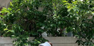 Đang trẻ trung xinh tươi mà diện 4 mẫu váy sau, trông bạn sẽ già đi ít nhất 5 tuổi