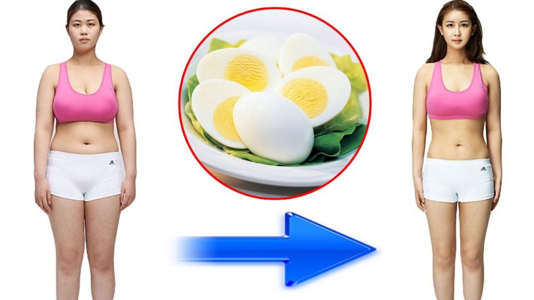 Giảm 2kg hiệu quả trong 5 ngày nhờ ăn trứng Giảm 2kg hiệu quả trong 5 ngày nhờ ăn trứng