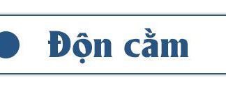 Không muốn hối hận sau chỉnh sửa vùng cằm, chị em nhất định phải biết điều nàyBài viết được tham khảo ý kiến từ bác sĩ, chuyên gia