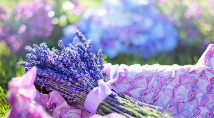 Thử thách tự làm mỹ phẩm dưỡng da với giá rẻ bất ngờ Thử thách tự làm mỹ phẩm dưỡng da với giá rẻ bất ngờ