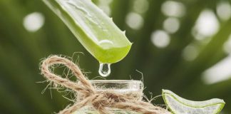 Uống nước nha đam có thể giảm cân hay không? Câu trả lời sẽ khiến bạn vô cùng bất ngờ