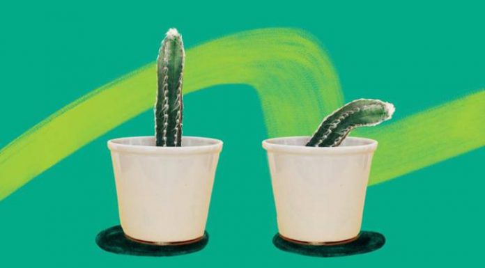 Những lầm tưởng tai hại về cơ thể của con trai mà hội con gái thường mắc phải