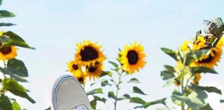 Sức hút bất di bất dịch của 7 kiểu giày sneakers kinh điển