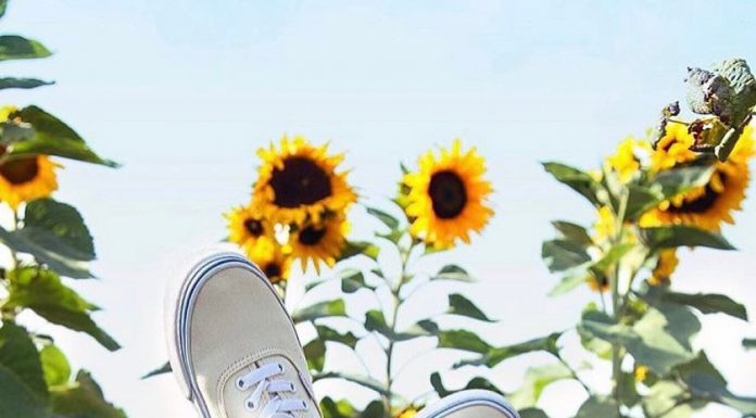 Sức hút bất di bất dịch của 7 kiểu giày sneakers kinh điển