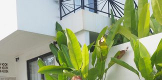 Hè thì mặc gì vừa xinh vừa nổi bật! Bật mí 3 gam màu HOT TREND dự là sẽ CÔNG PHÁ hè này đó nha !!