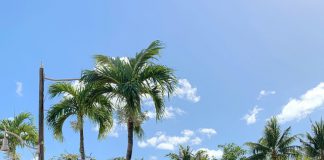Nắng nóng sao phải trói mình trong những bộ quần áo bí bách?!! Trời nóng thì nên sắm ngay một em váy mát rượi này nha!!